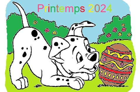 Des Quatre Korrigans - Prochaine portée : Printemps 2024