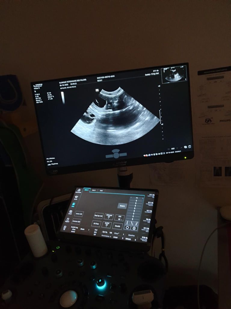 Naissances en décembre !