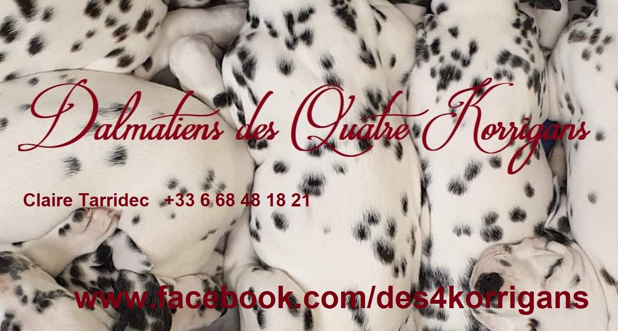 Des Quatre Korrigans